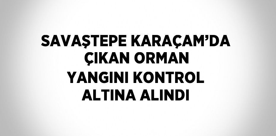 SAVAŞTEPE KARAÇAM’DA ÇIKAN ORMAN YANGINI KONTROL ALTINA ALINDI