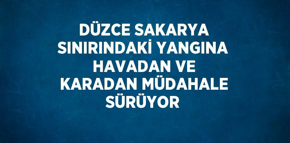 DÜZCE SAKARYA SINIRINDAKİ YANGINA HAVADAN VE KARADAN MÜDAHALE SÜRÜYOR