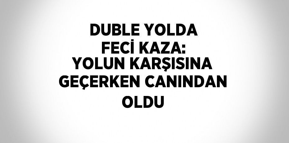DUBLE YOLDA FECİ KAZA: YOLUN KARŞISINA GEÇERKEN CANINDAN OLDU