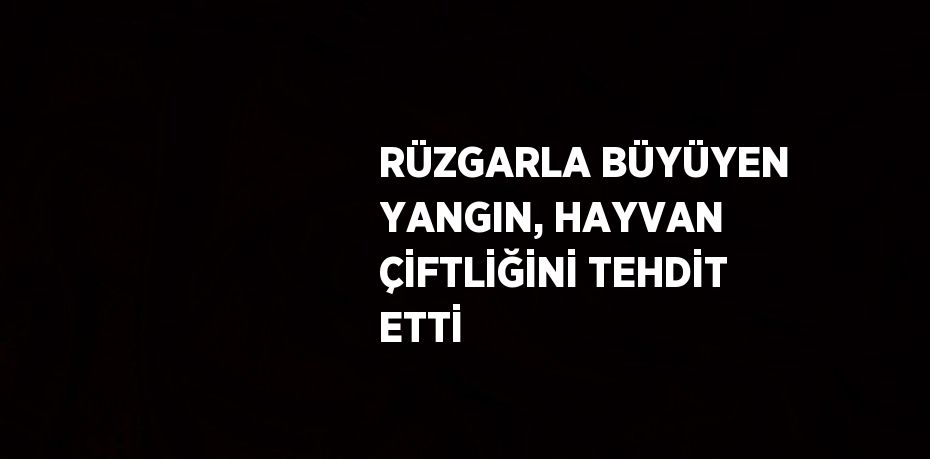 RÜZGARLA BÜYÜYEN YANGIN, HAYVAN ÇİFTLİĞİNİ TEHDİT ETTİ