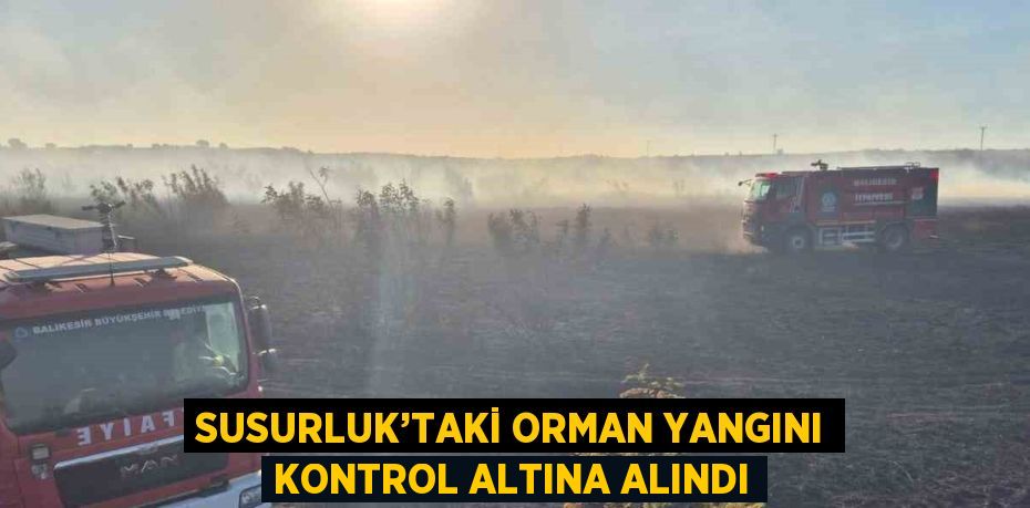SUSURLUK’TAKİ ORMAN YANGINI KONTROL ALTINA ALINDI