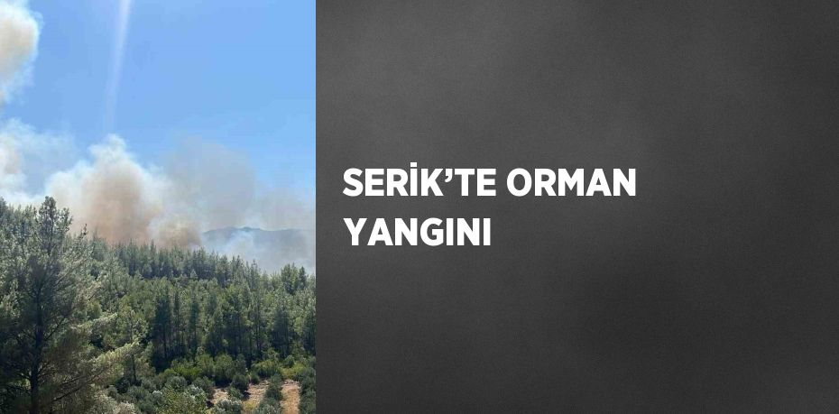 SERİK’TE ORMAN YANGINI
