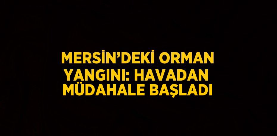 MERSİN’DEKİ ORMAN YANGINI: HAVADAN MÜDAHALE BAŞLADI