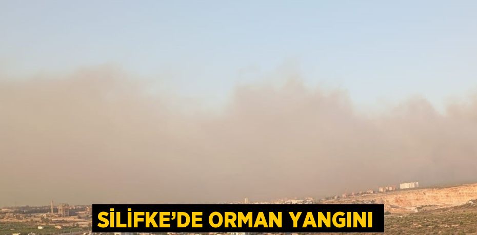 SİLİFKE’DE ORMAN YANGINI