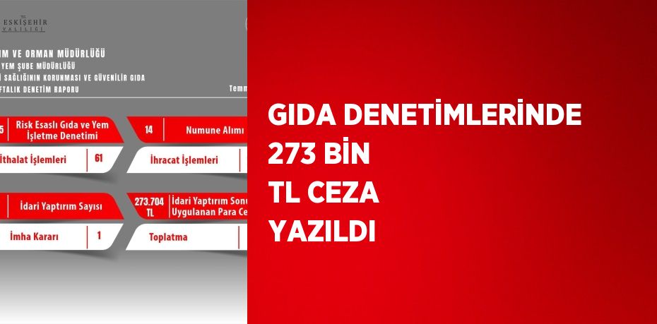 GIDA DENETİMLERİNDE 273 BİN TL CEZA YAZILDI