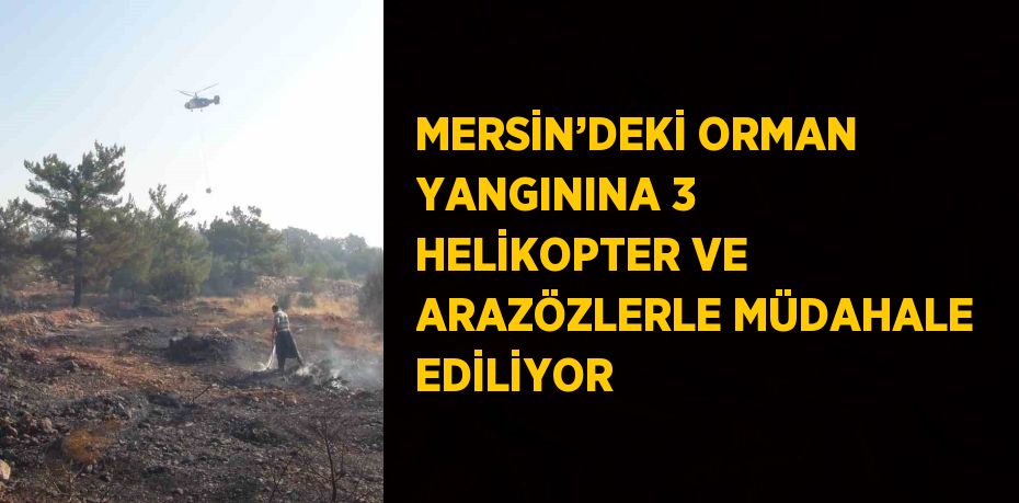 MERSİN’DEKİ ORMAN YANGININA 3 HELİKOPTER VE ARAZÖZLERLE MÜDAHALE EDİLİYOR