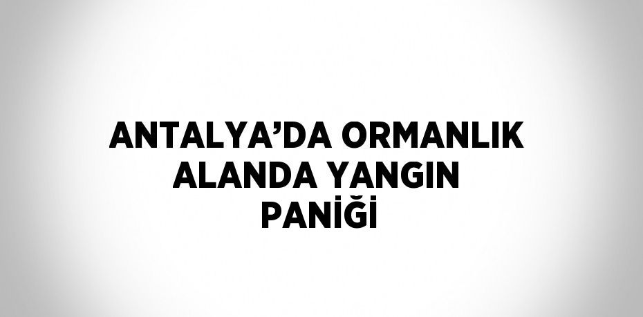 ANTALYA’DA ORMANLIK ALANDA YANGIN PANİĞİ