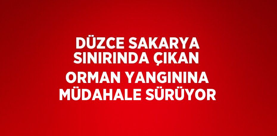 DÜZCE SAKARYA SINIRINDA ÇIKAN ORMAN YANGININA MÜDAHALE SÜRÜYOR