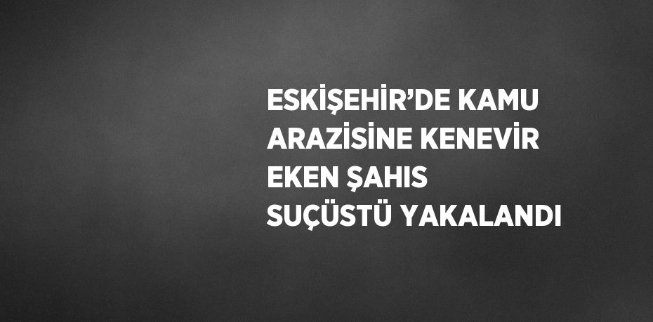 ESKİŞEHİR’DE KAMU ARAZİSİNE KENEVİR EKEN ŞAHIS SUÇÜSTÜ YAKALANDI