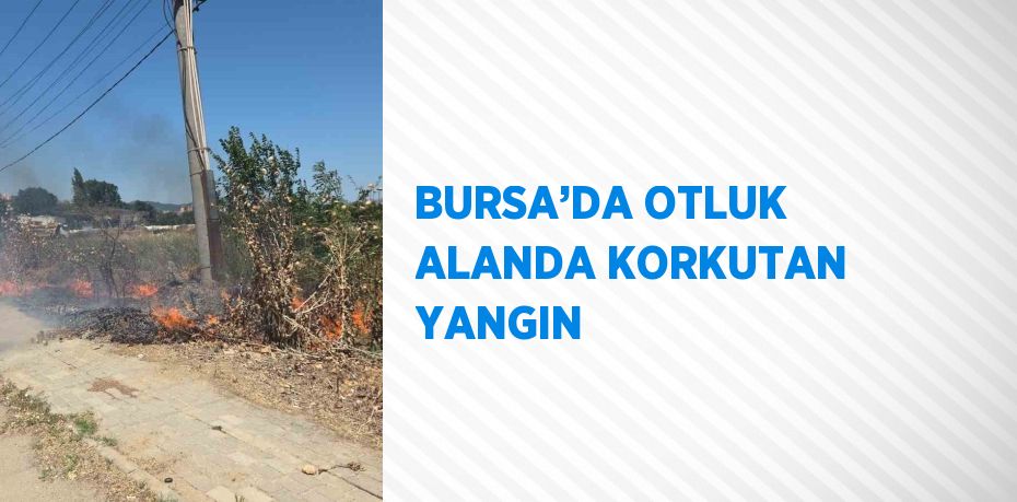 BURSA’DA OTLUK ALANDA KORKUTAN YANGIN