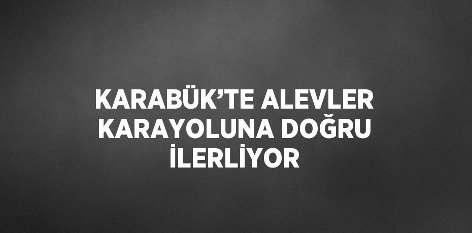 KARABÜK’TE ALEVLER KARAYOLUNA DOĞRU İLERLİYOR