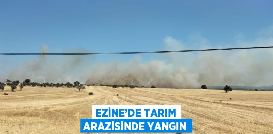 EZİNE’DE TARIM ARAZİSİNDE YANGIN