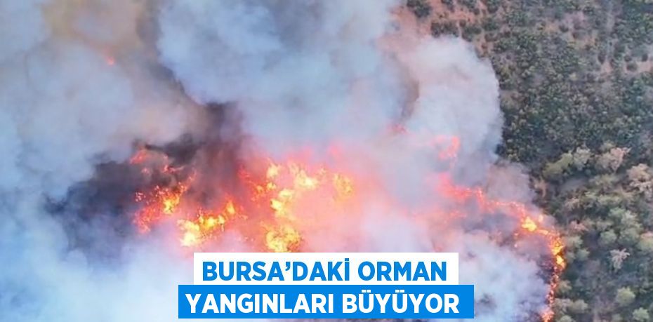 BURSA’DAKİ ORMAN YANGINLARI BÜYÜYOR