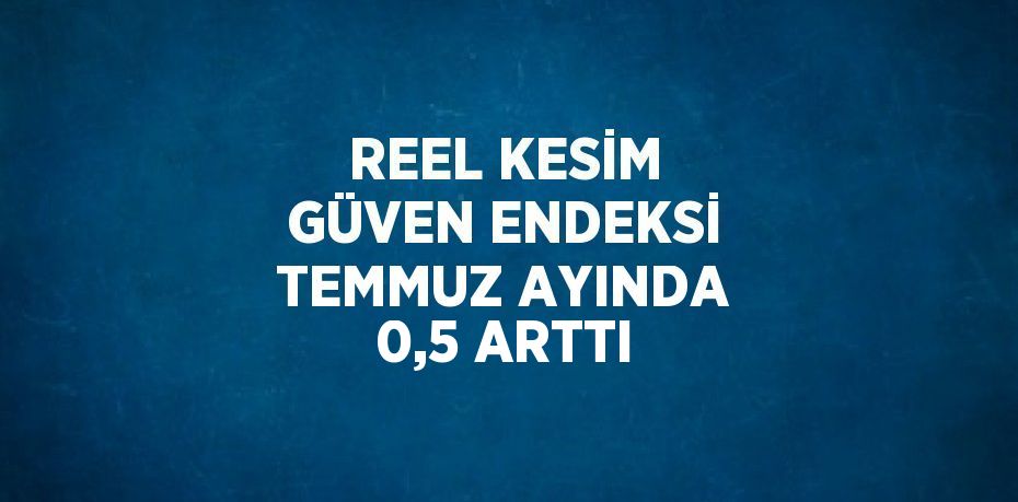 REEL KESİM GÜVEN ENDEKSİ TEMMUZ AYINDA 0,5 ARTTI