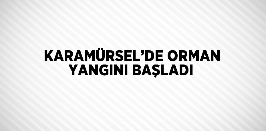 KARAMÜRSEL’DE ORMAN YANGINI BAŞLADI
