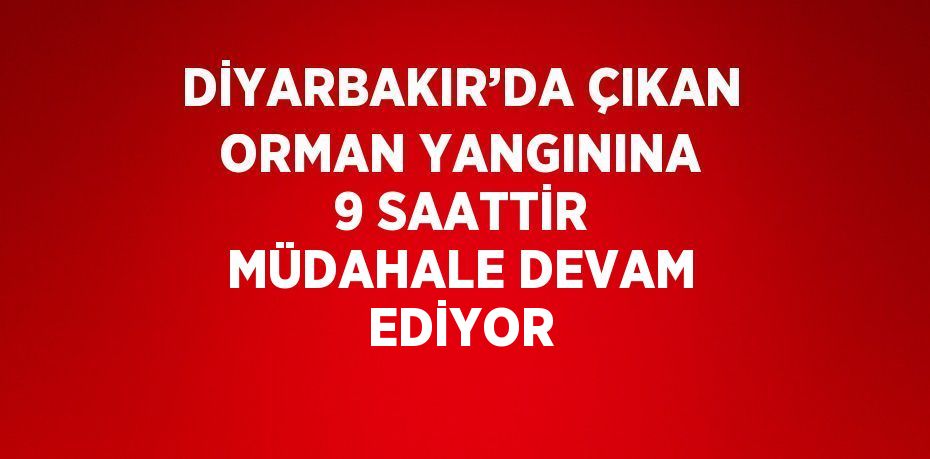 DİYARBAKIR’DA ÇIKAN ORMAN YANGININA 9 SAATTİR MÜDAHALE DEVAM EDİYOR