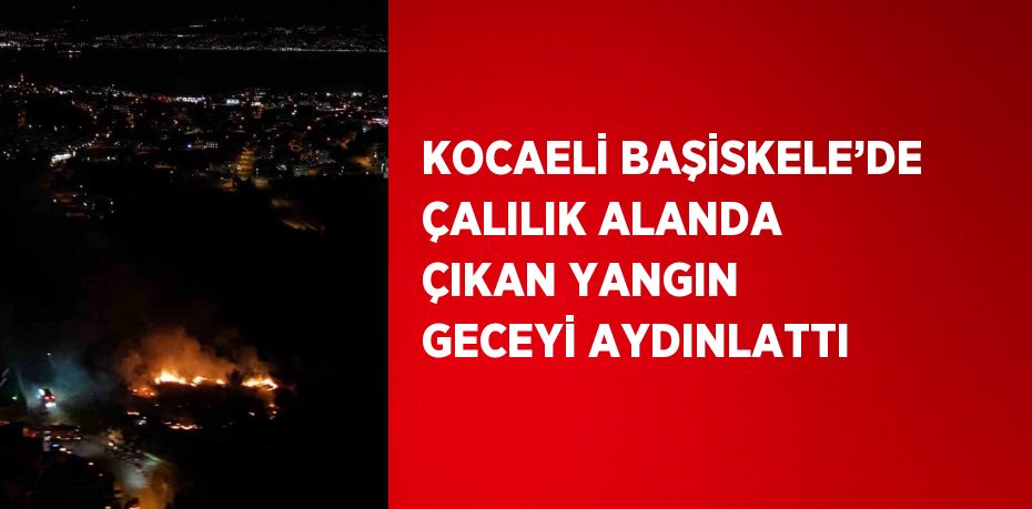KOCAELİ BAŞİSKELE’DE ÇALILIK ALANDA ÇIKAN YANGIN GECEYİ AYDINLATTI