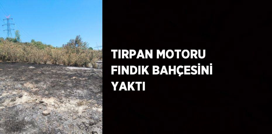 TIRPAN MOTORU FINDIK BAHÇESİNİ YAKTI