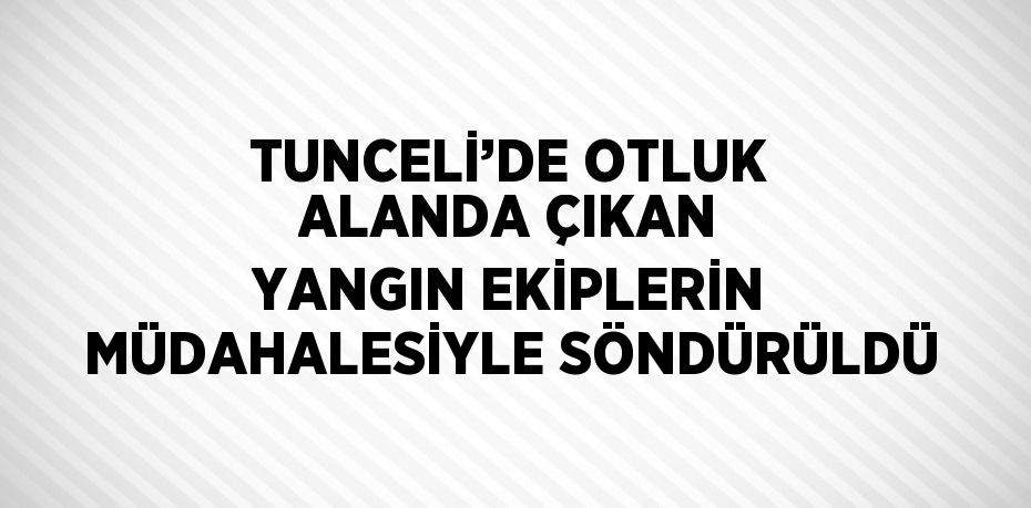 TUNCELİ’DE OTLUK ALANDA ÇIKAN YANGIN EKİPLERİN MÜDAHALESİYLE SÖNDÜRÜLDÜ