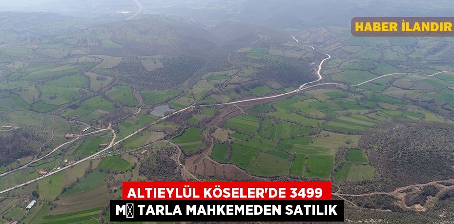 Altıeylül Köseler'de 3499 m² tarla mahkemeden satılık