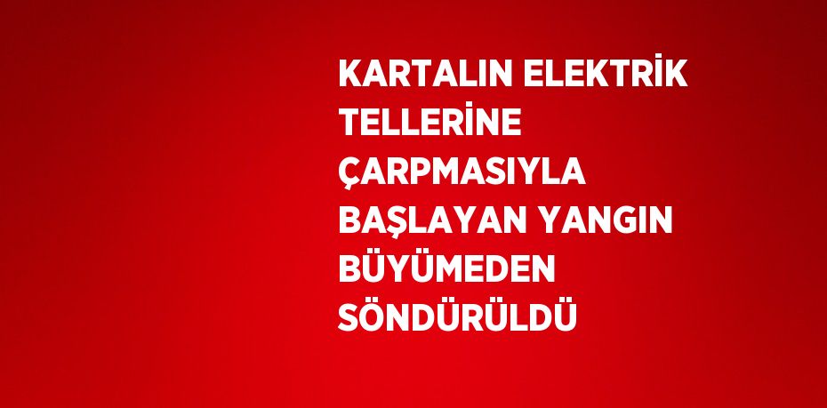 KARTALIN ELEKTRİK TELLERİNE ÇARPMASIYLA BAŞLAYAN YANGIN BÜYÜMEDEN SÖNDÜRÜLDÜ