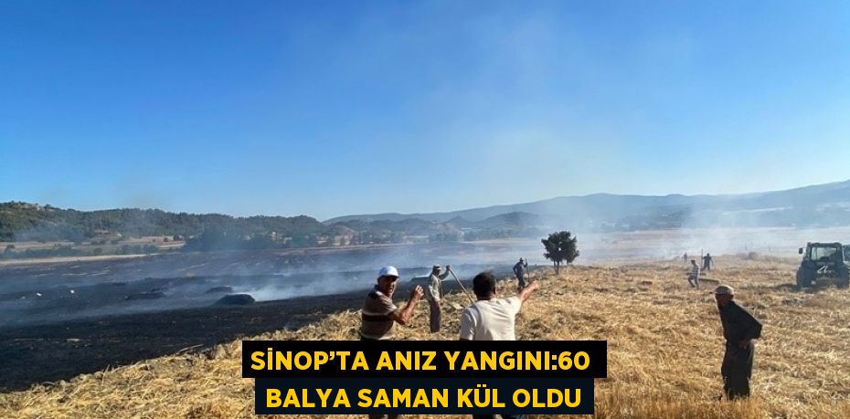 SİNOP’TA ANIZ YANGINI:60 BALYA SAMAN KÜL OLDU