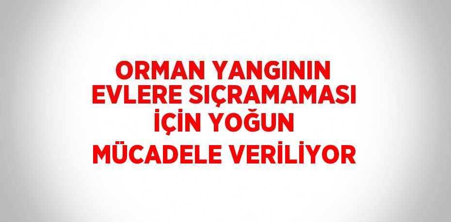 ORMAN YANGININ EVLERE SIÇRAMAMASI İÇİN YOĞUN MÜCADELE VERİLİYOR