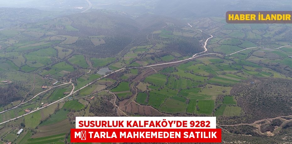 Susurluk Kalfaköy'de 9282 m² tarla mahkemeden satılık