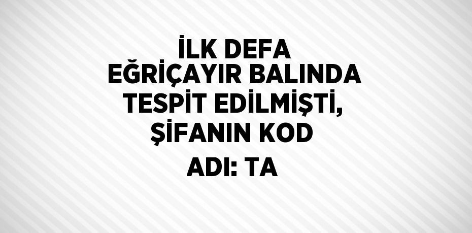 İLK DEFA EĞRİÇAYIR BALINDA TESPİT EDİLMİŞTİ, ŞİFANIN KOD ADI: TA