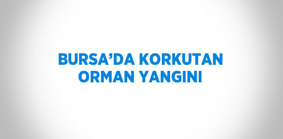 BURSA’DA KORKUTAN ORMAN YANGINI