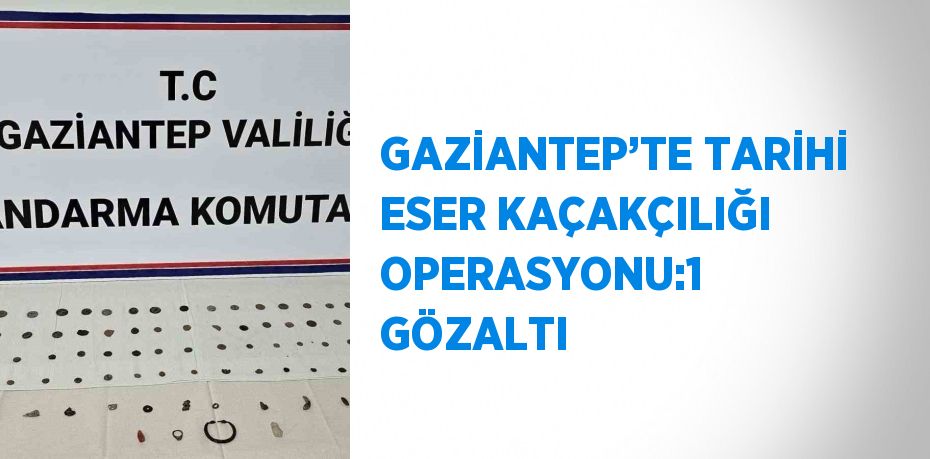GAZİANTEP’TE TARİHİ ESER KAÇAKÇILIĞI OPERASYONU:1 GÖZALTI