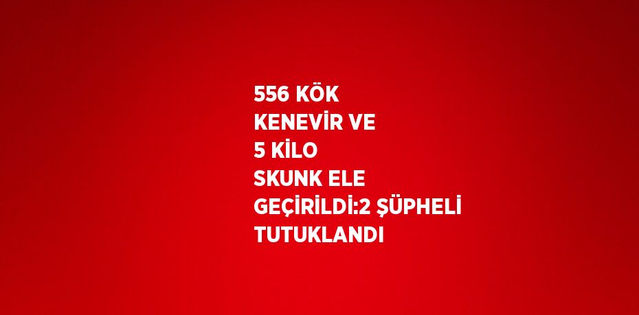 556 KÖK KENEVİR VE 5 KİLO SKUNK ELE GEÇİRİLDİ:2 ŞÜPHELİ TUTUKLANDI