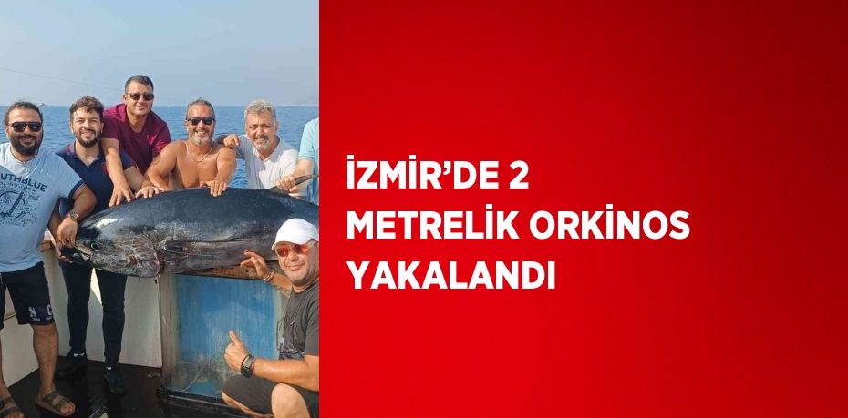 İZMİR’DE 2 METRELİK ORKİNOS YAKALANDI