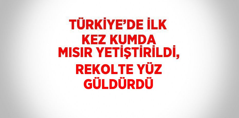 TÜRKİYE’DE İLK KEZ KUMDA MISIR YETİŞTİRİLDİ, REKOLTE YÜZ GÜLDÜRDÜ