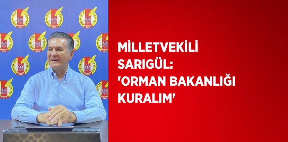 MİLLETVEKİLİ SARIGÜL: 'ORMAN BAKANLIĞI KURALIM'