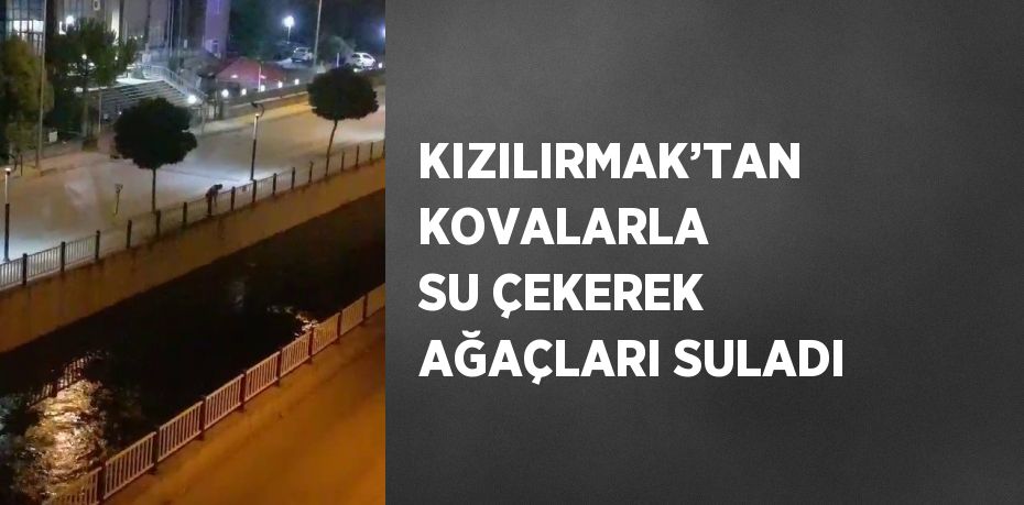 KIZILIRMAK’TAN KOVALARLA SU ÇEKEREK AĞAÇLARI SULADI