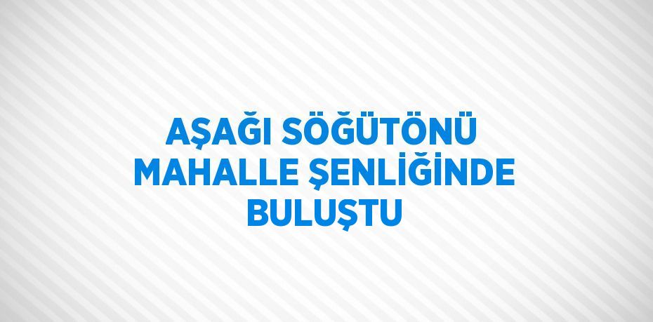 AŞAĞI SÖĞÜTÖNÜ MAHALLE ŞENLİĞİNDE BULUŞTU