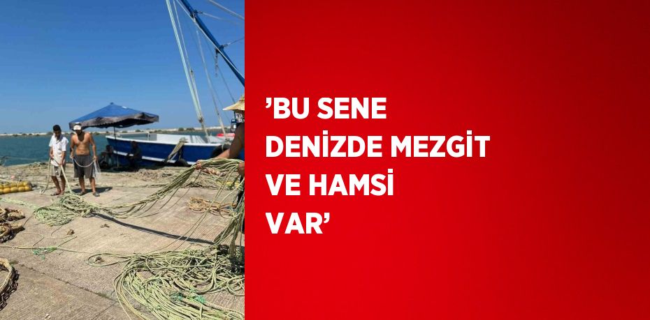 ’BU SENE DENİZDE MEZGİT VE HAMSİ VAR’