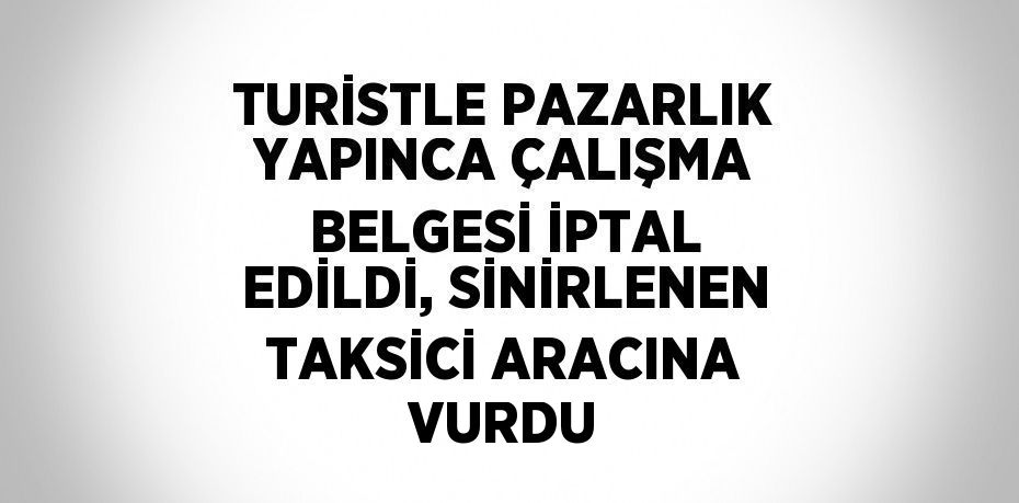 TURİSTLE PAZARLIK YAPINCA ÇALIŞMA BELGESİ İPTAL EDİLDİ, SİNİRLENEN TAKSİCİ ARACINA VURDU