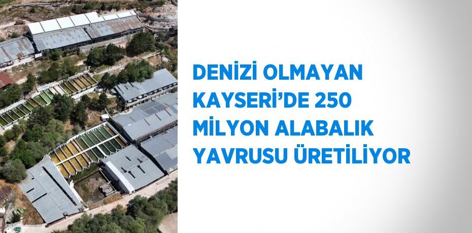 DENİZİ OLMAYAN KAYSERİ’DE 250 MİLYON ALABALIK YAVRUSU ÜRETİLİYOR