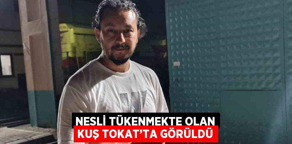 NESLİ TÜKENMEKTE OLAN KUŞ TOKAT’TA GÖRÜLDÜ