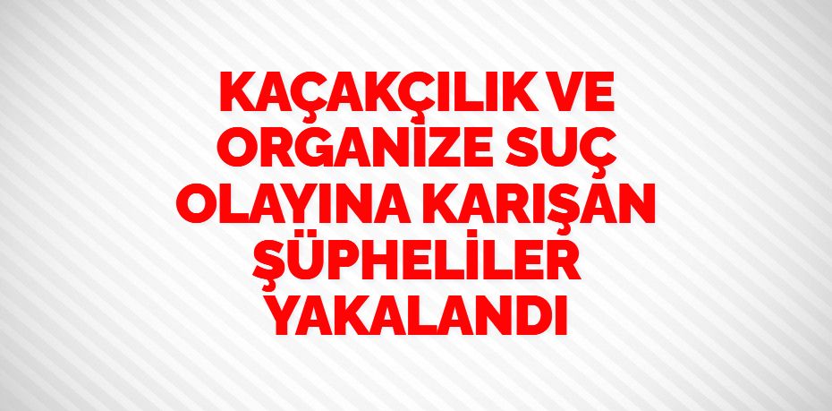 KAÇAKÇILIK VE ORGANİZE SUÇ OLAYINA KARIŞAN ŞÜPHELİLER YAKALANDI