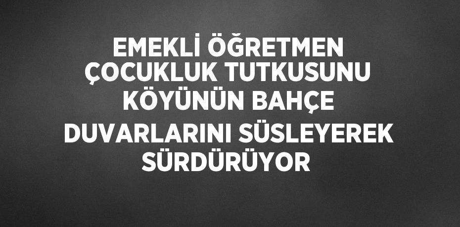 EMEKLİ ÖĞRETMEN ÇOCUKLUK TUTKUSUNU KÖYÜNÜN BAHÇE DUVARLARINI SÜSLEYEREK SÜRDÜRÜYOR