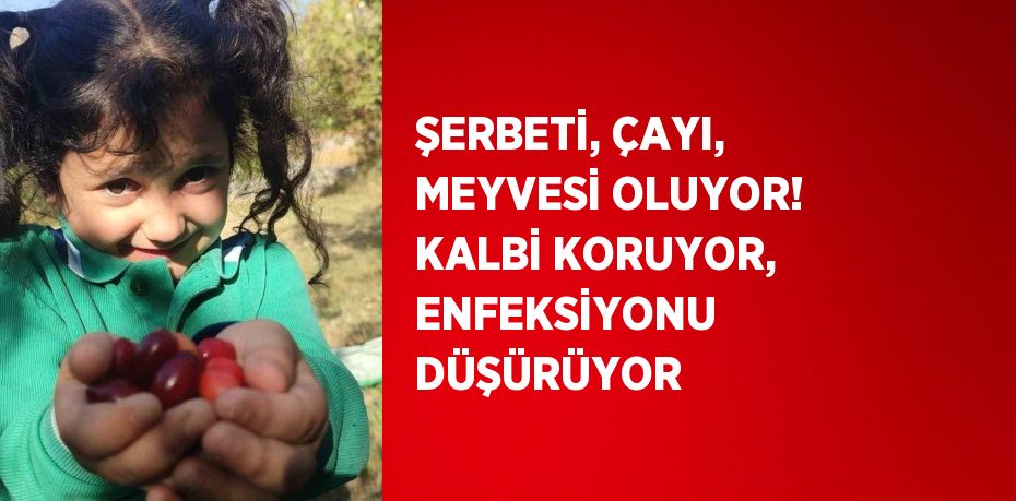 ŞERBETİ, ÇAYI, MEYVESİ OLUYOR! KALBİ KORUYOR, ENFEKSİYONU DÜŞÜRÜYOR