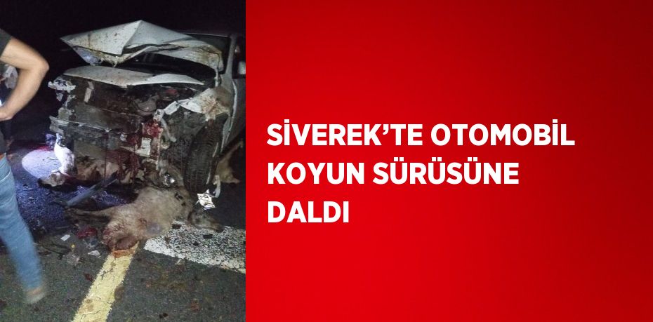 SİVEREK’TE OTOMOBİL KOYUN SÜRÜSÜNE DALDI