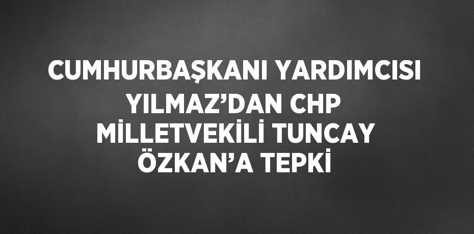 CUMHURBAŞKANI YARDIMCISI YILMAZ’DAN CHP MİLLETVEKİLİ TUNCAY ÖZKAN’A TEPKİ