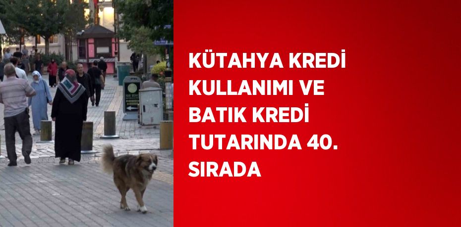 KÜTAHYA KREDİ KULLANIMI VE BATIK KREDİ TUTARINDA 40. SIRADA