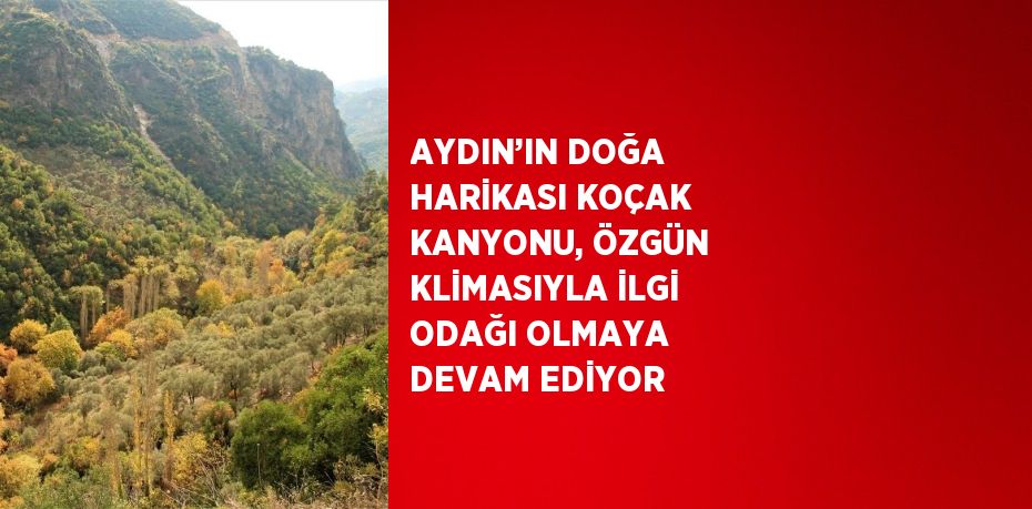 AYDIN’IN DOĞA HARİKASI KOÇAK KANYONU, ÖZGÜN KLİMASIYLA İLGİ ODAĞI OLMAYA DEVAM EDİYOR