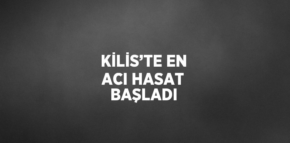 KİLİS’TE EN ACI HASAT BAŞLADI