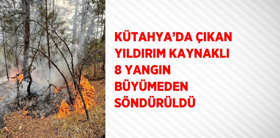 KÜTAHYA’DA ÇIKAN YILDIRIM KAYNAKLI 8 YANGIN BÜYÜMEDEN SÖNDÜRÜLDÜ